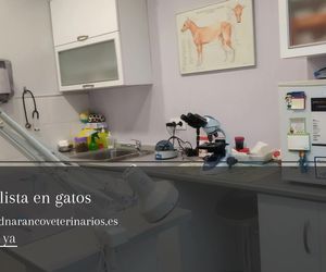 Clínica veterinaria en Oviedo | Centro Veterinario Ciudad Naranco
