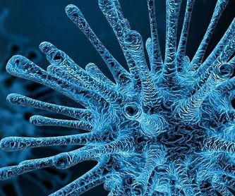 Legionella: Servicios de Plagas Archipiélago Salud Ambiente