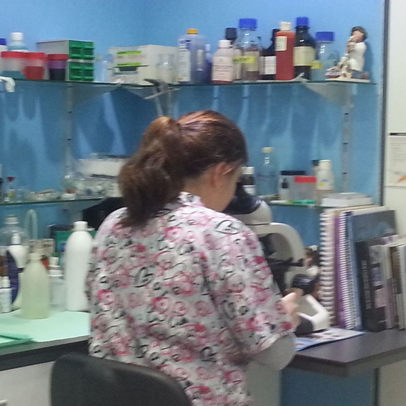 Análisis de laboratorio: Servicios de Clínica Veterinaria Ricardo Díez Reyero