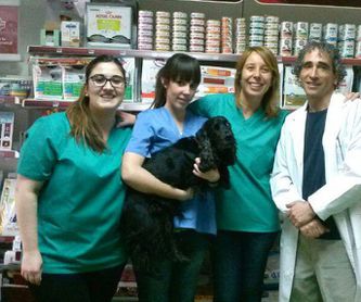 Endoscopia: Servicios de Clínica Veterinaria Ricardo Díez Reyero