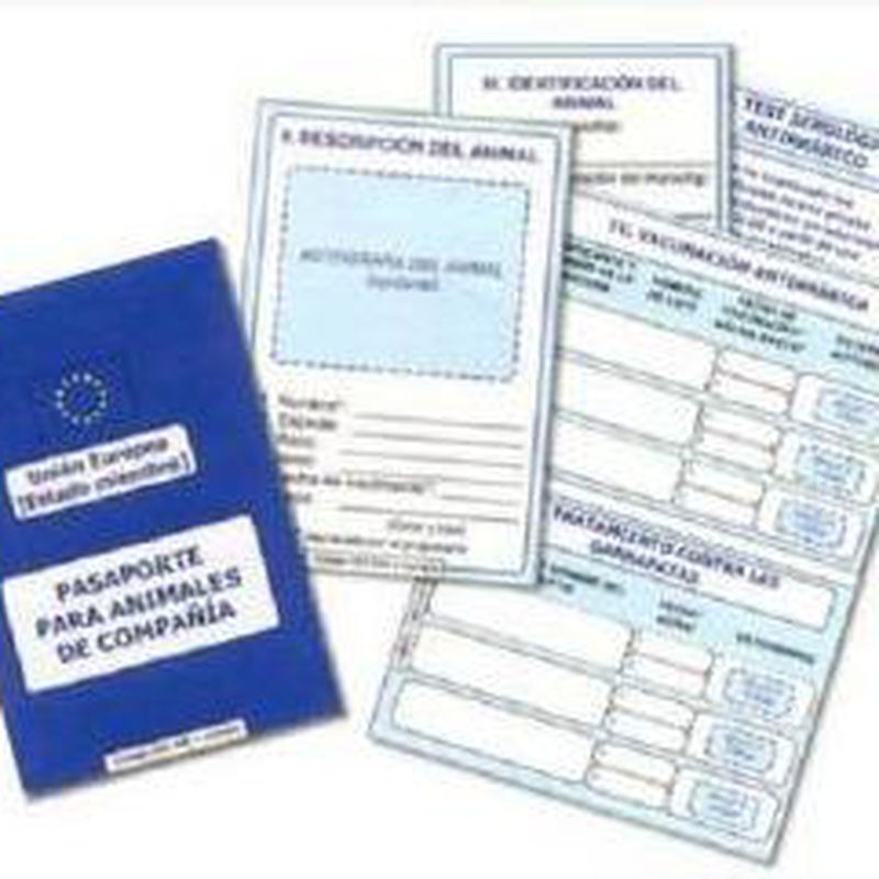 Microchips, certificados oficiales, pasaportes: Productos y servicios de Veterinario El Puertito