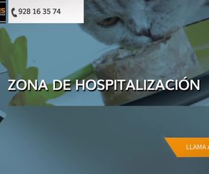 Clínica veterinaria en Fuerteventura | Species Veterinarias