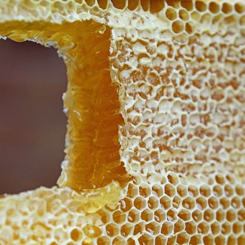 Cera de abeja en Caceres | Cera en bloque
