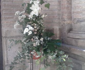 Flores Naturales: Servicios de Artemisa Flores