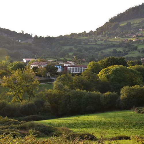 Elaboración de sidra natural en Sariego, Asturias